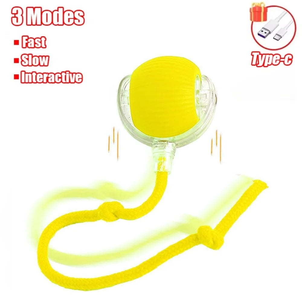 Interactive Smart Cat Ball Toy