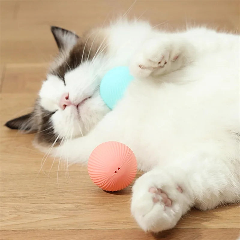 USB Rechargeable Interactive Dog & Cat Ball
