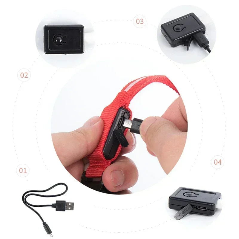 LED Rechargeable Dog Collar