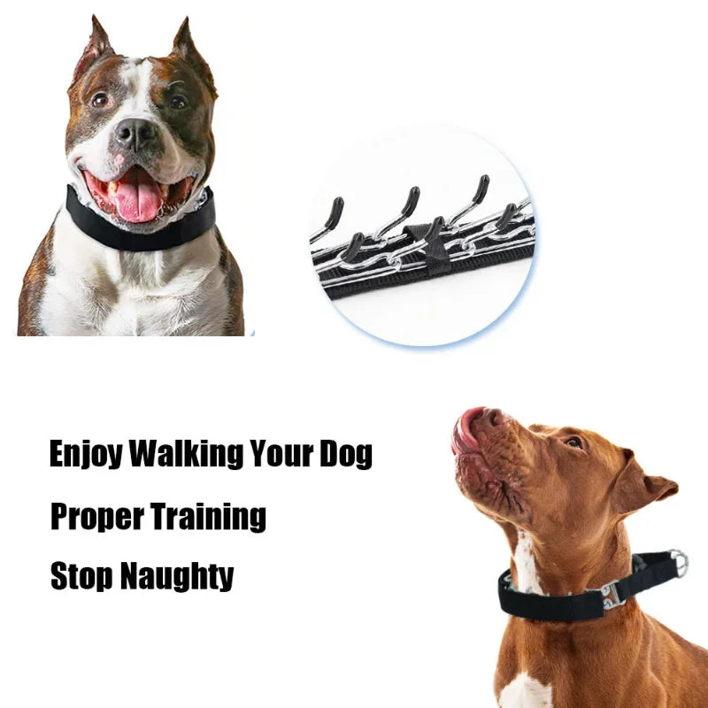 Prong Dog Training Collar