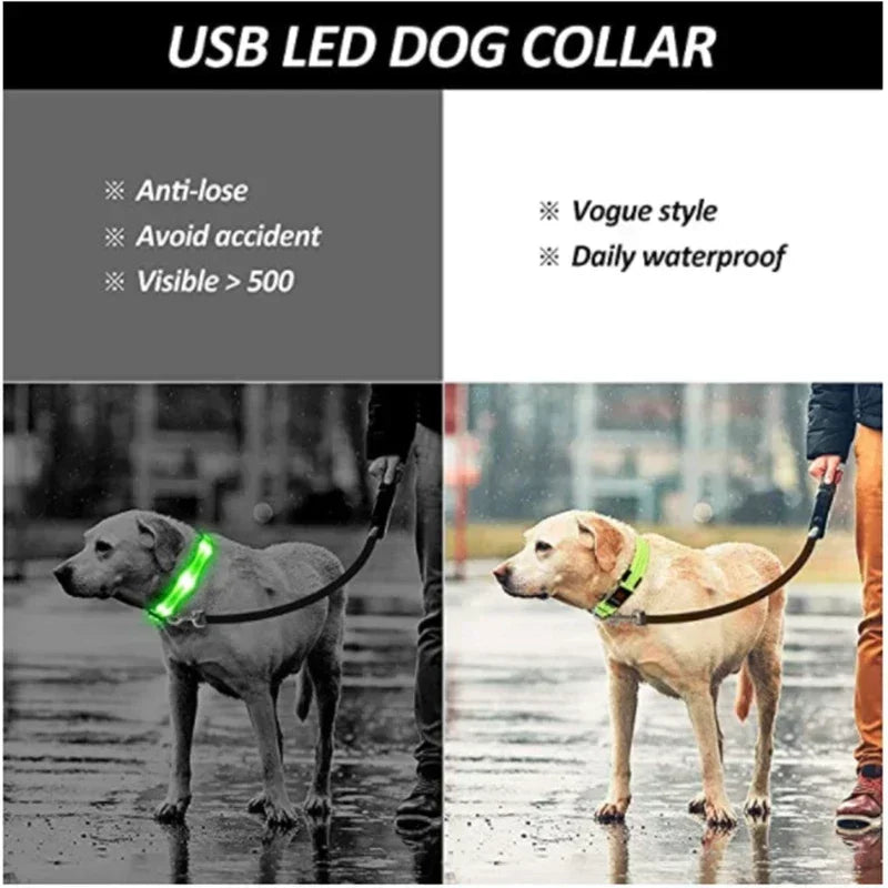 LED Rechargeable Dog Collar