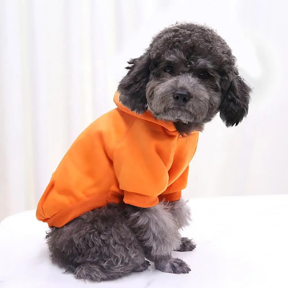 Pet Hoodie Sweatshirt for Dogs & Cats