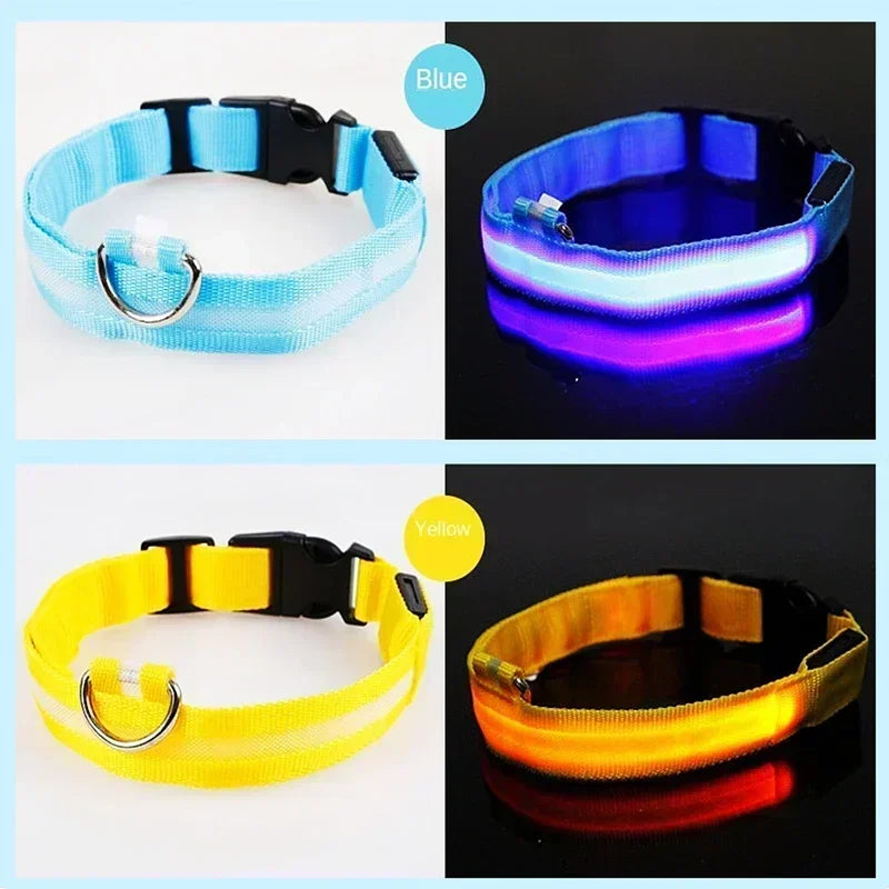 LED Rechargeable Dog Collar