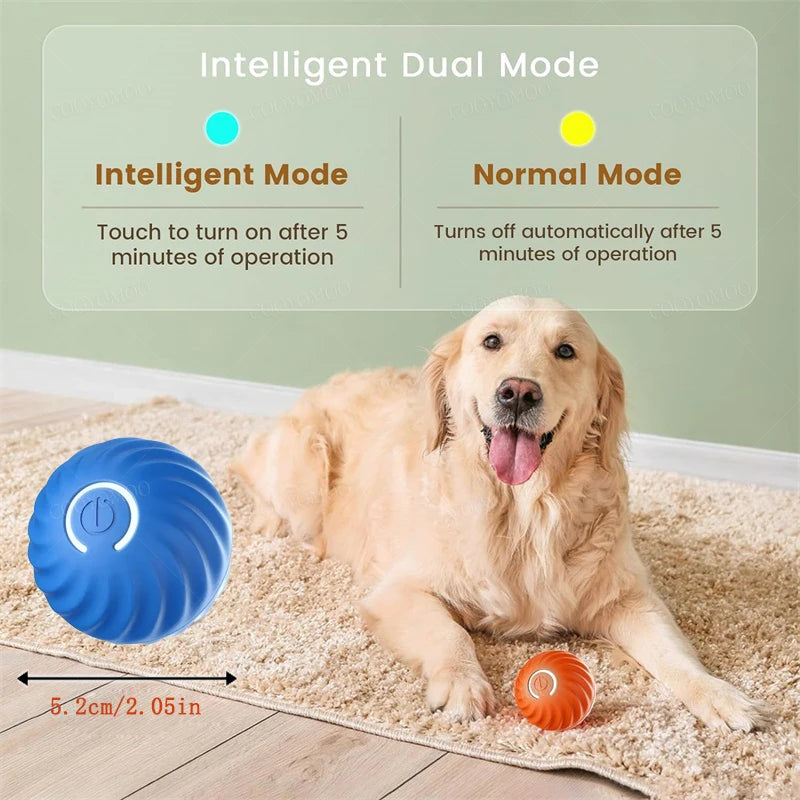 USB Rechargeable Interactive Dog & Cat Ball