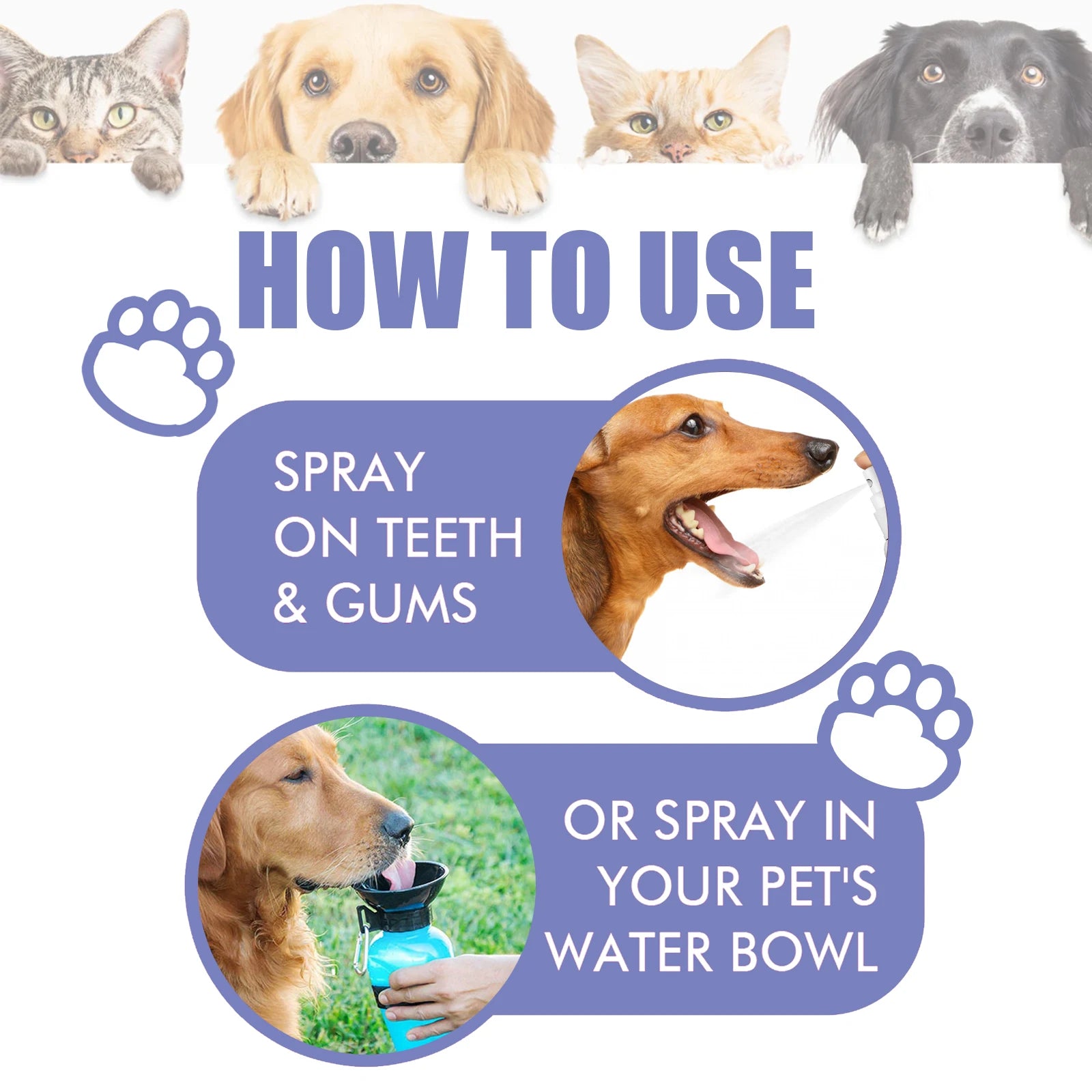 Pet Dental Spray 30ml