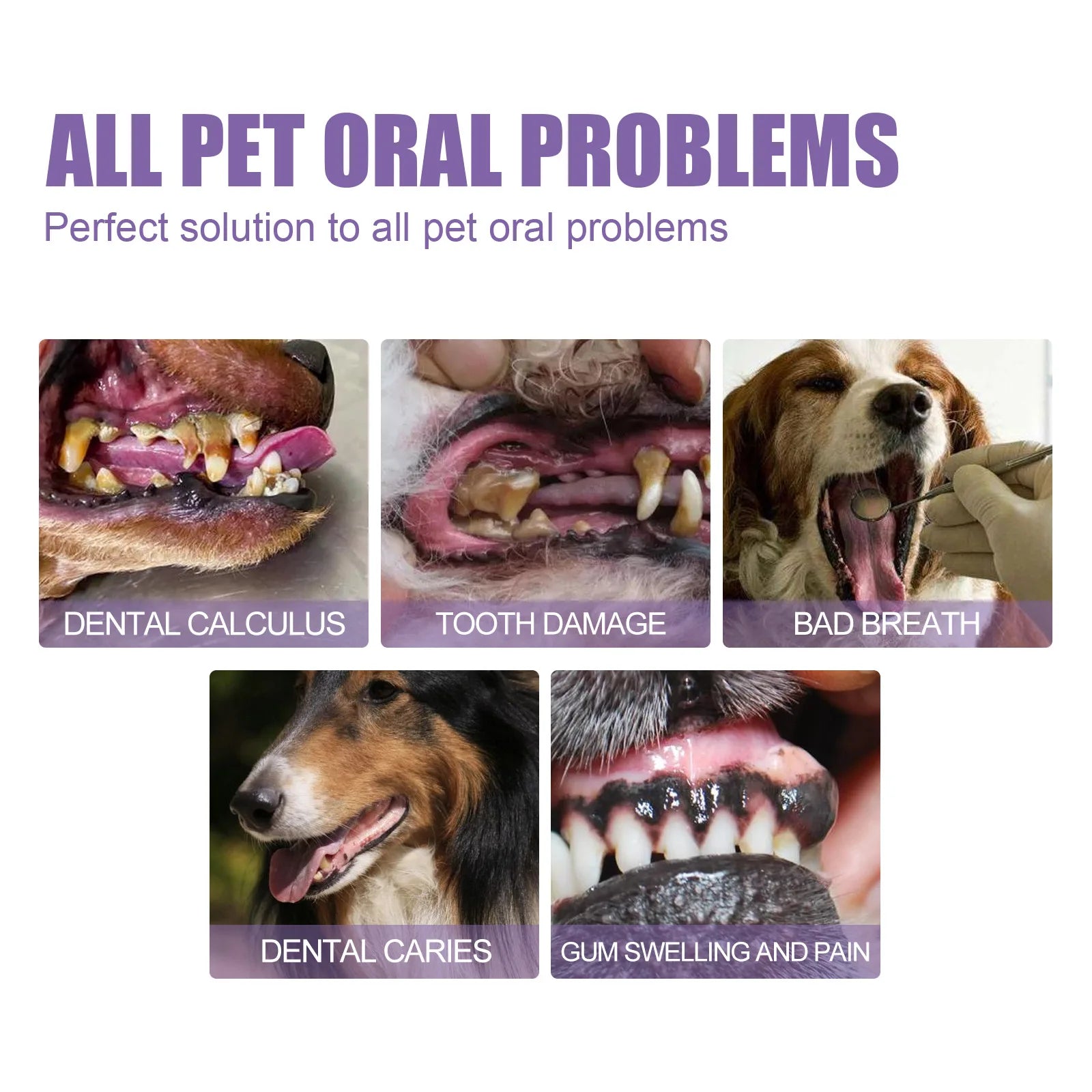 Pet Teeth Cleaning Gel