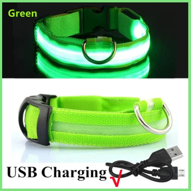 LED Rechargeable Dog Collar