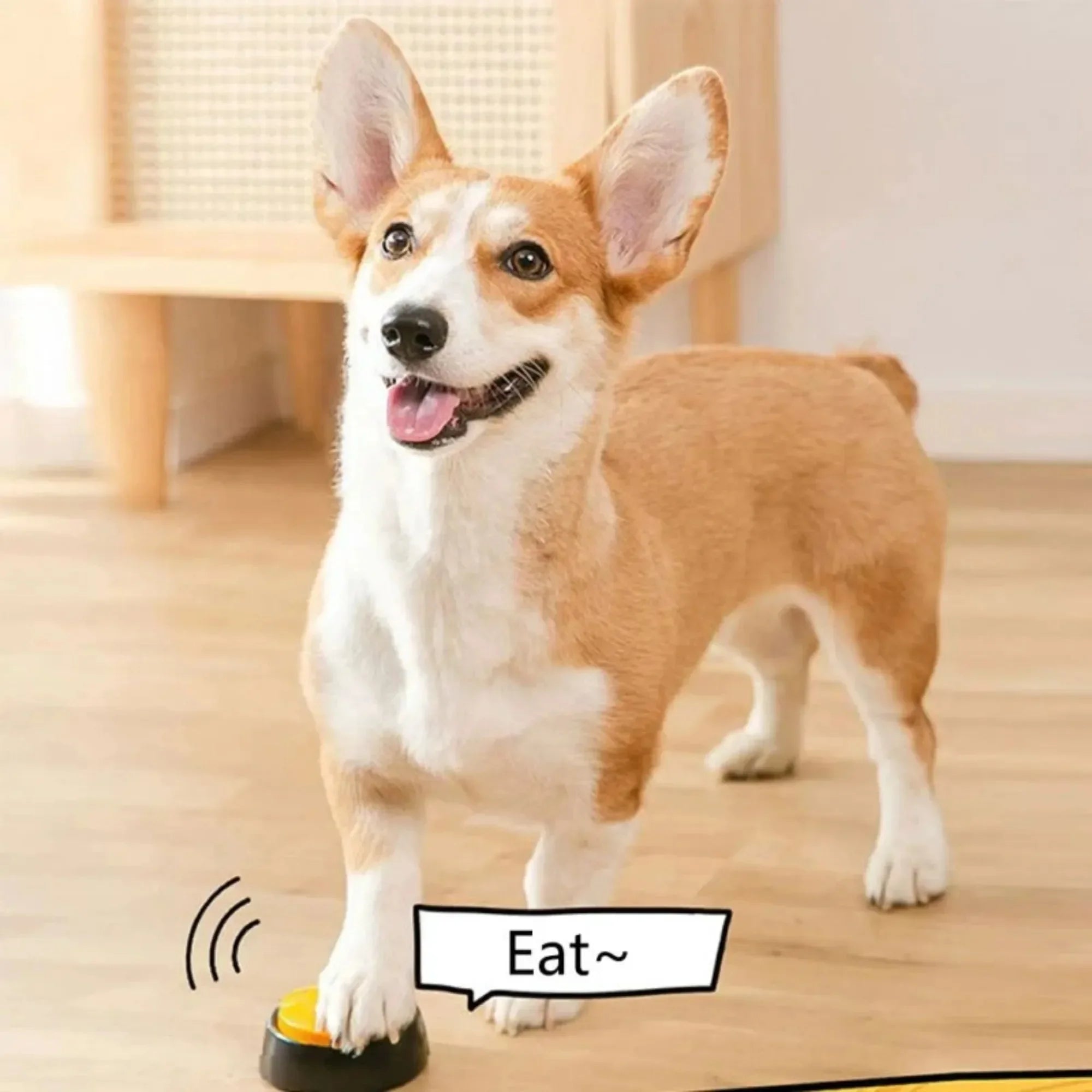 Dog Communication Voice Buttons