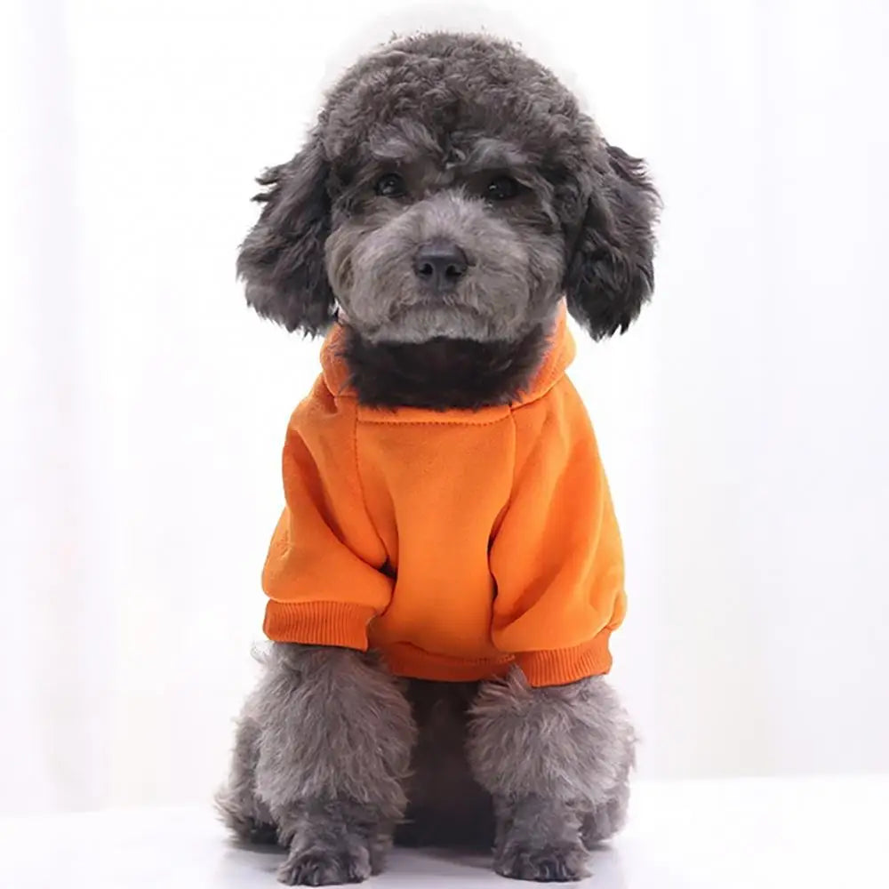 Pet Hoodie Sweatshirt for Dogs & Cats