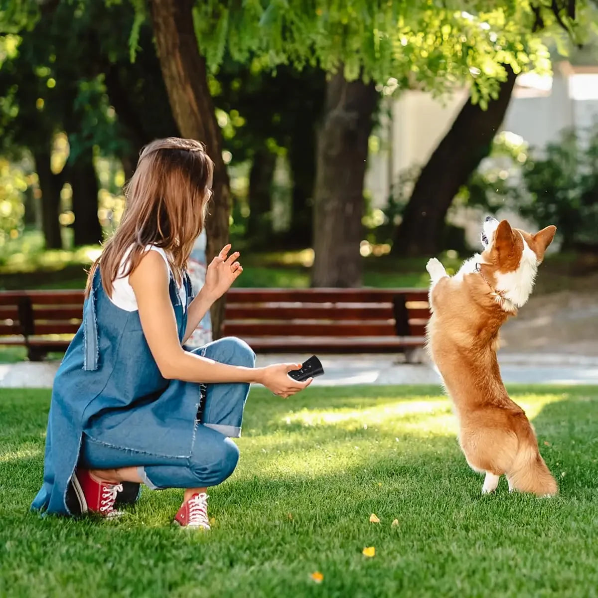 Ultrasonic Dog Barking Trainer