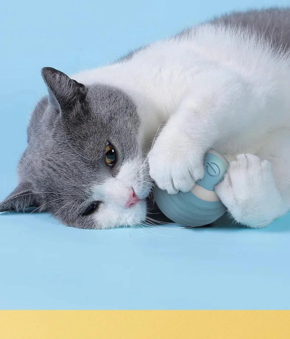Interactive Smart Cat Ball Toy