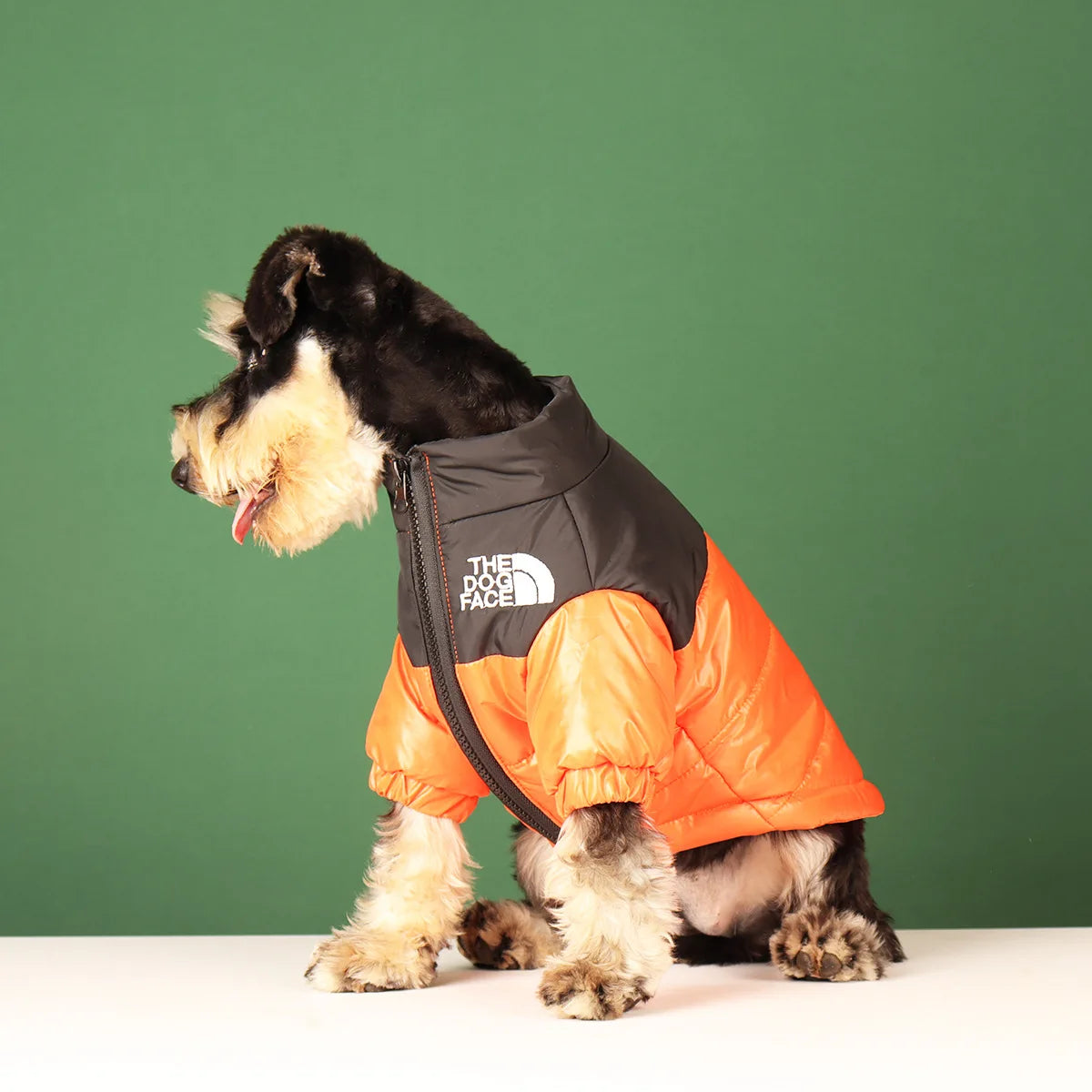 Large Winter Dog Jacket