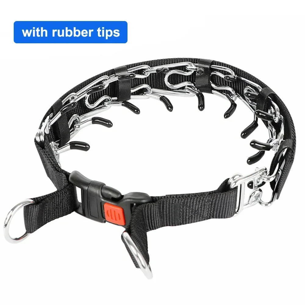 Prong Dog Training Collar