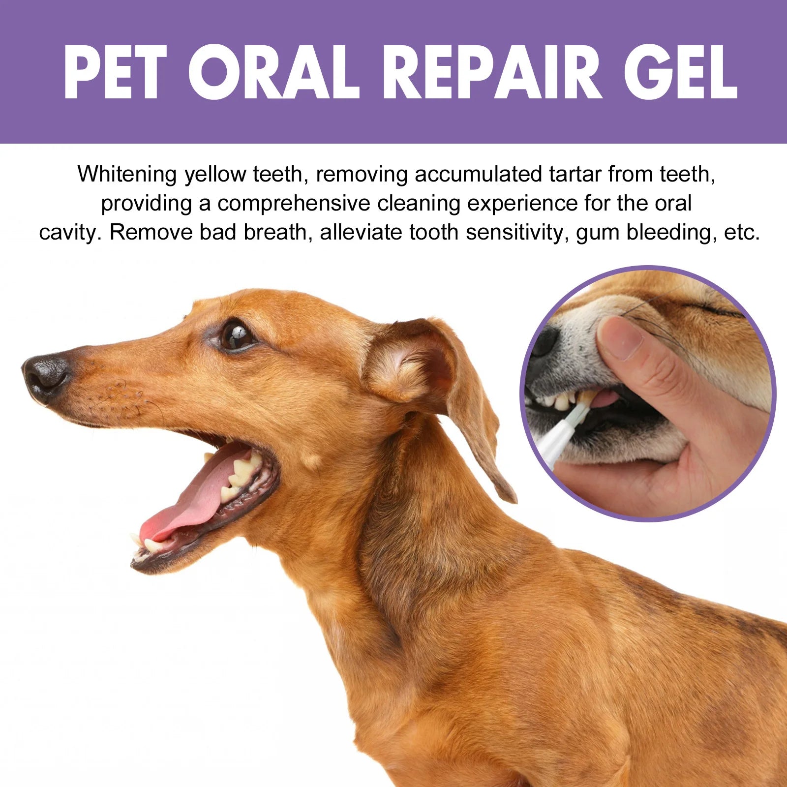 Pet Teeth Cleaning Gel