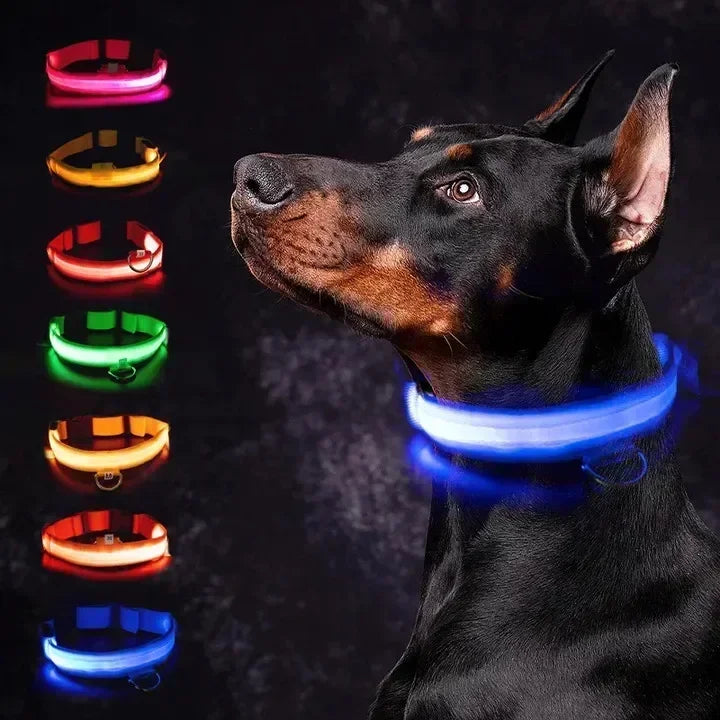 LED Rechargeable Dog Collar