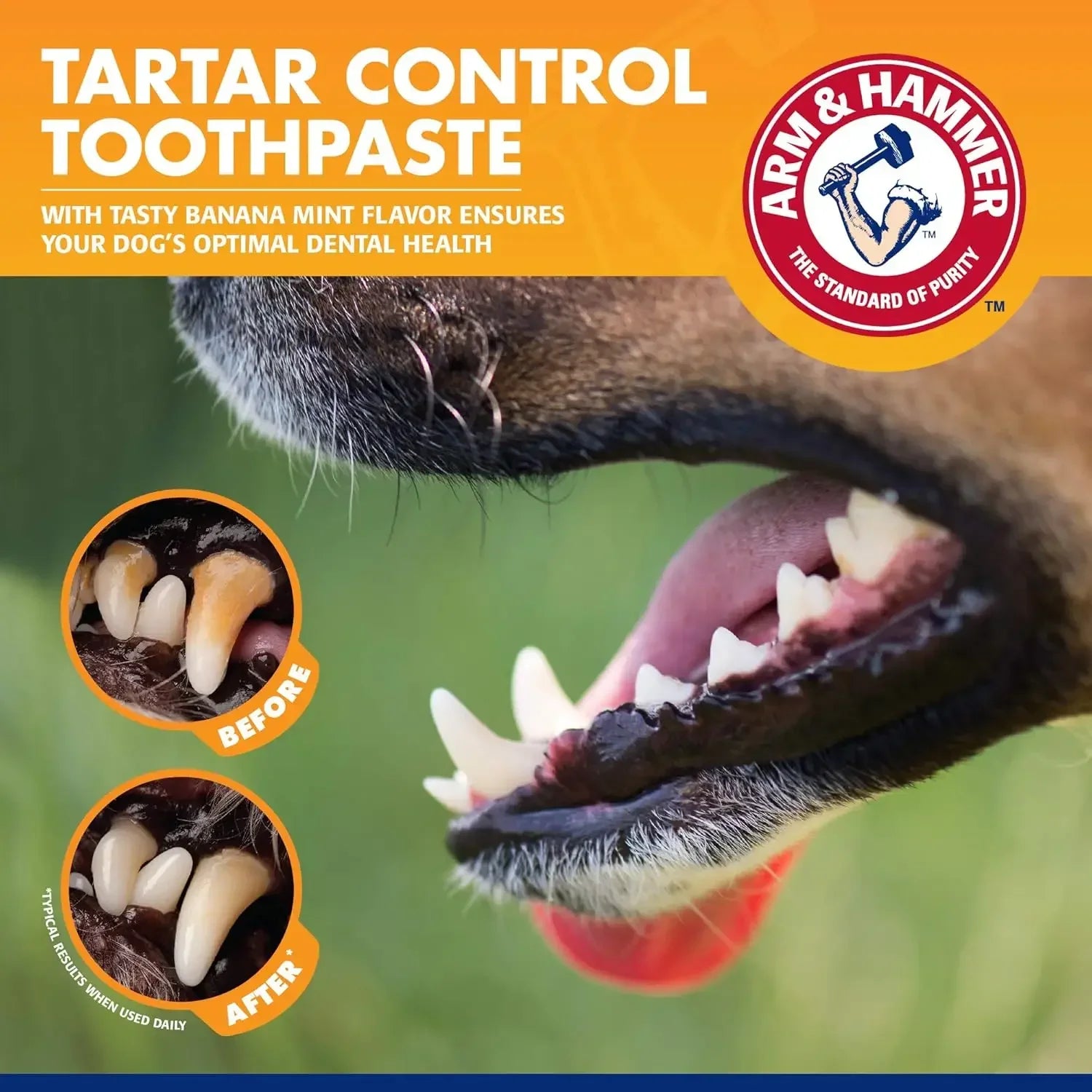 Pet Dental Care Kit