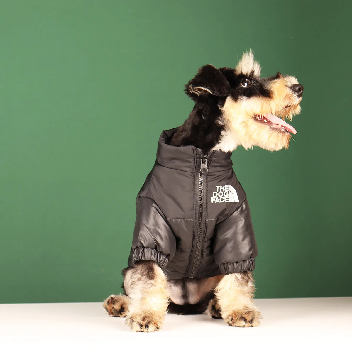 Large Winter Dog Jacket