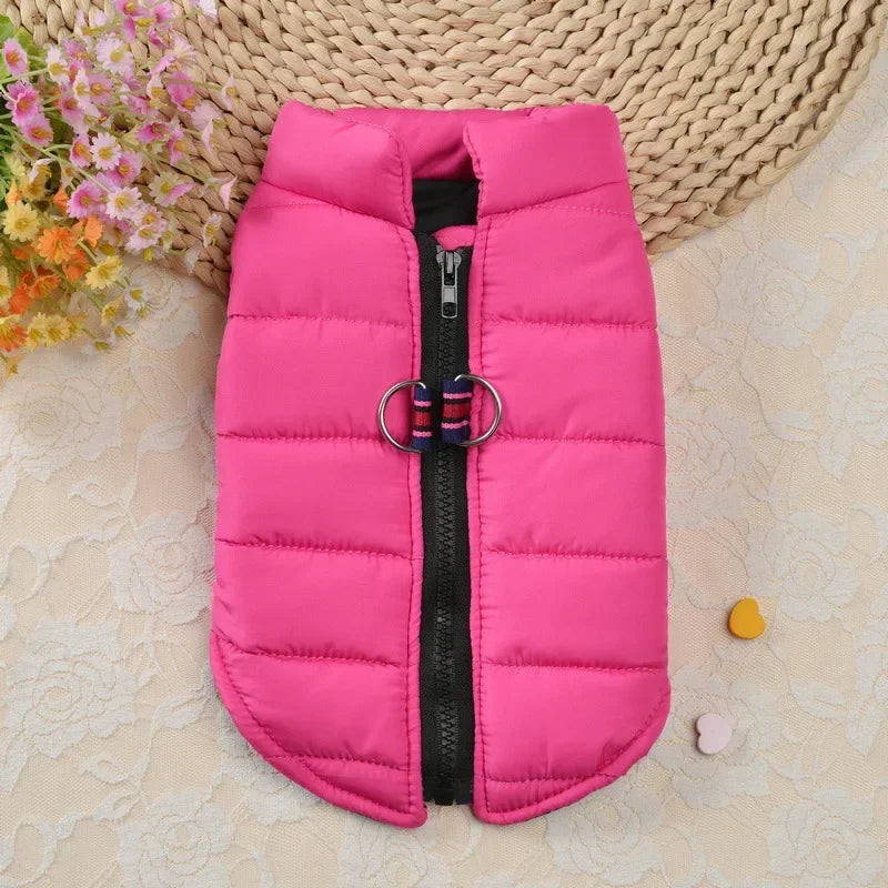 Winter Padded Dog & Cat Jacket