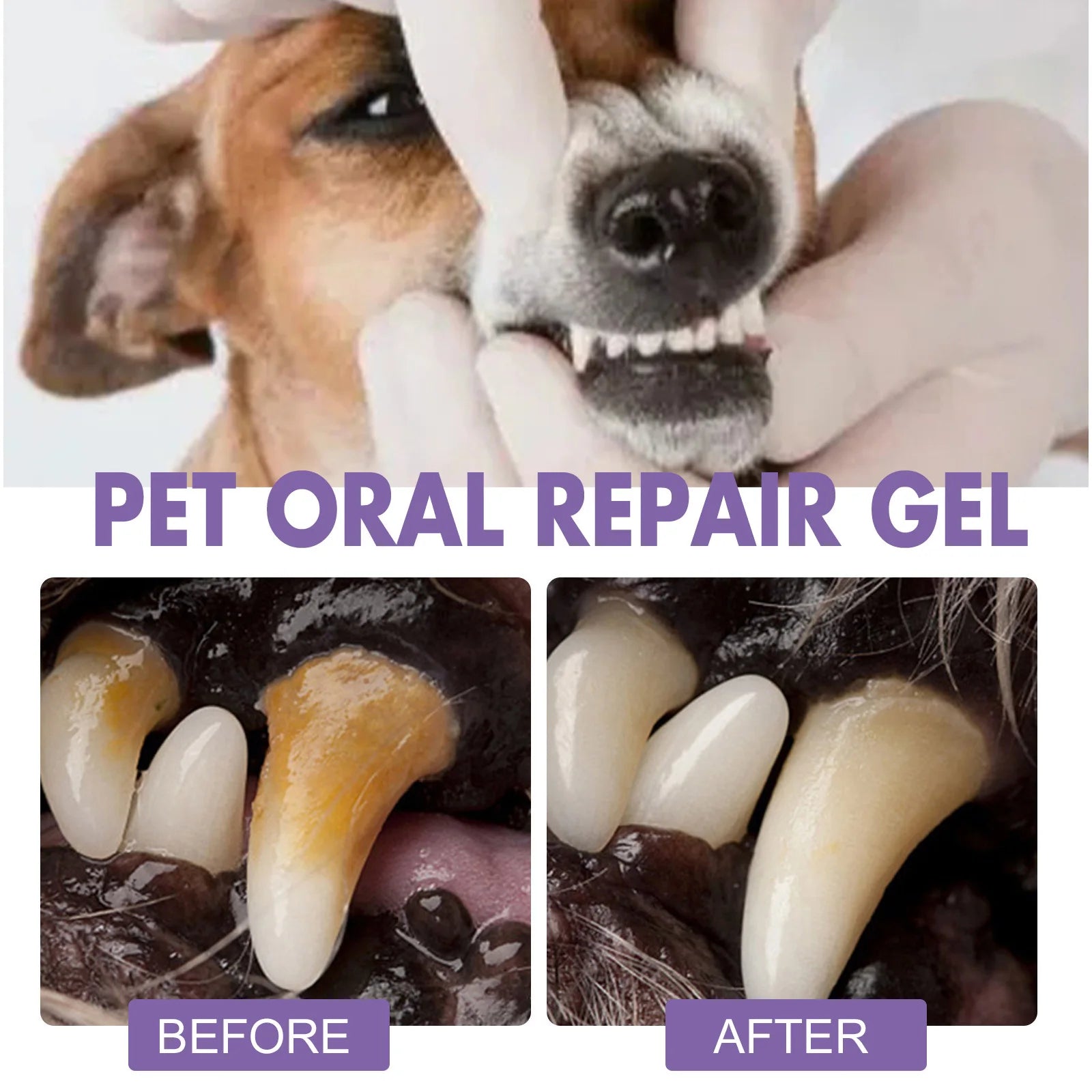 Pet Teeth Cleaning Gel