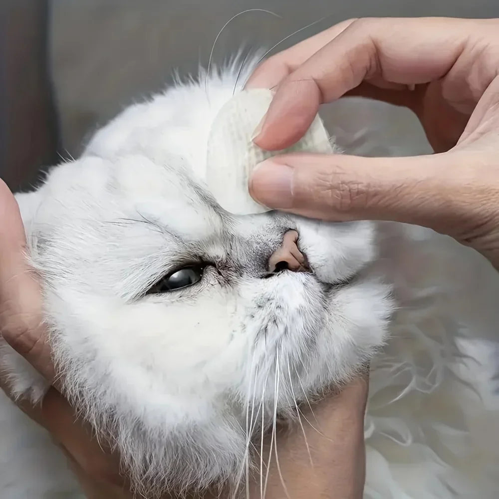 Pet Eye Cleaning Wipes 200pcs