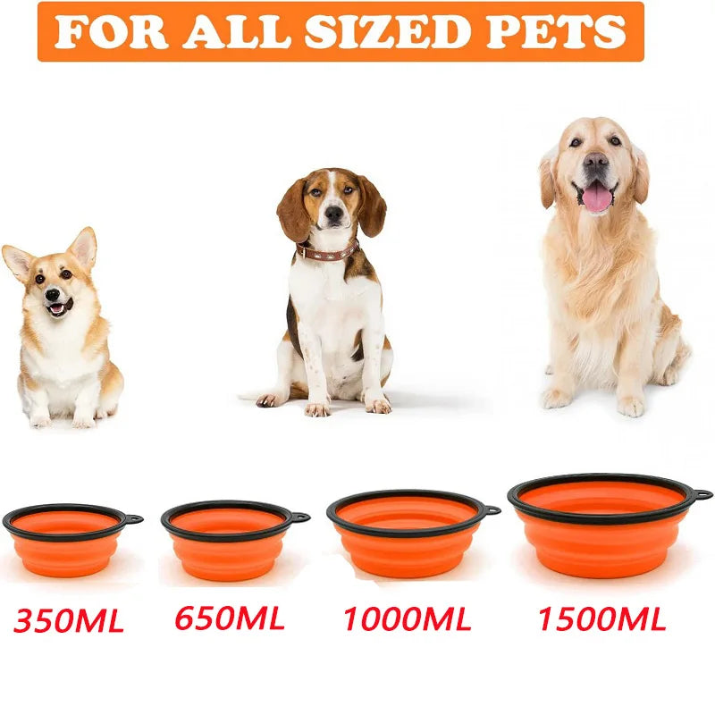 2-in-1 Portable Silicone Dog Bowl