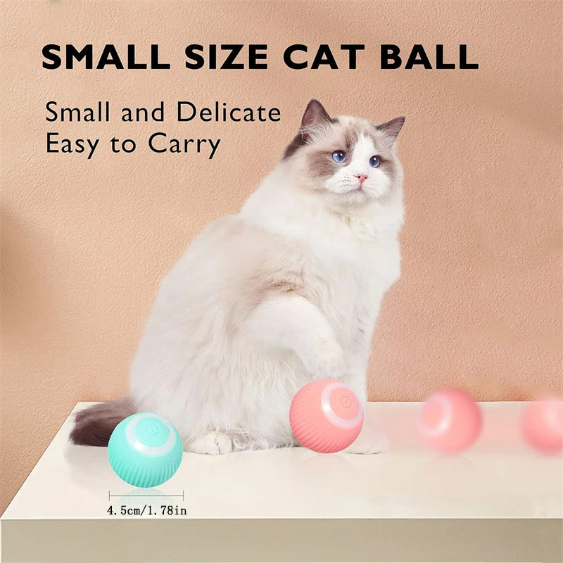 USB Rechargeable Interactive Dog & Cat Ball