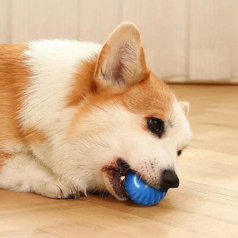 USB Rechargeable Interactive Dog & Cat Ball