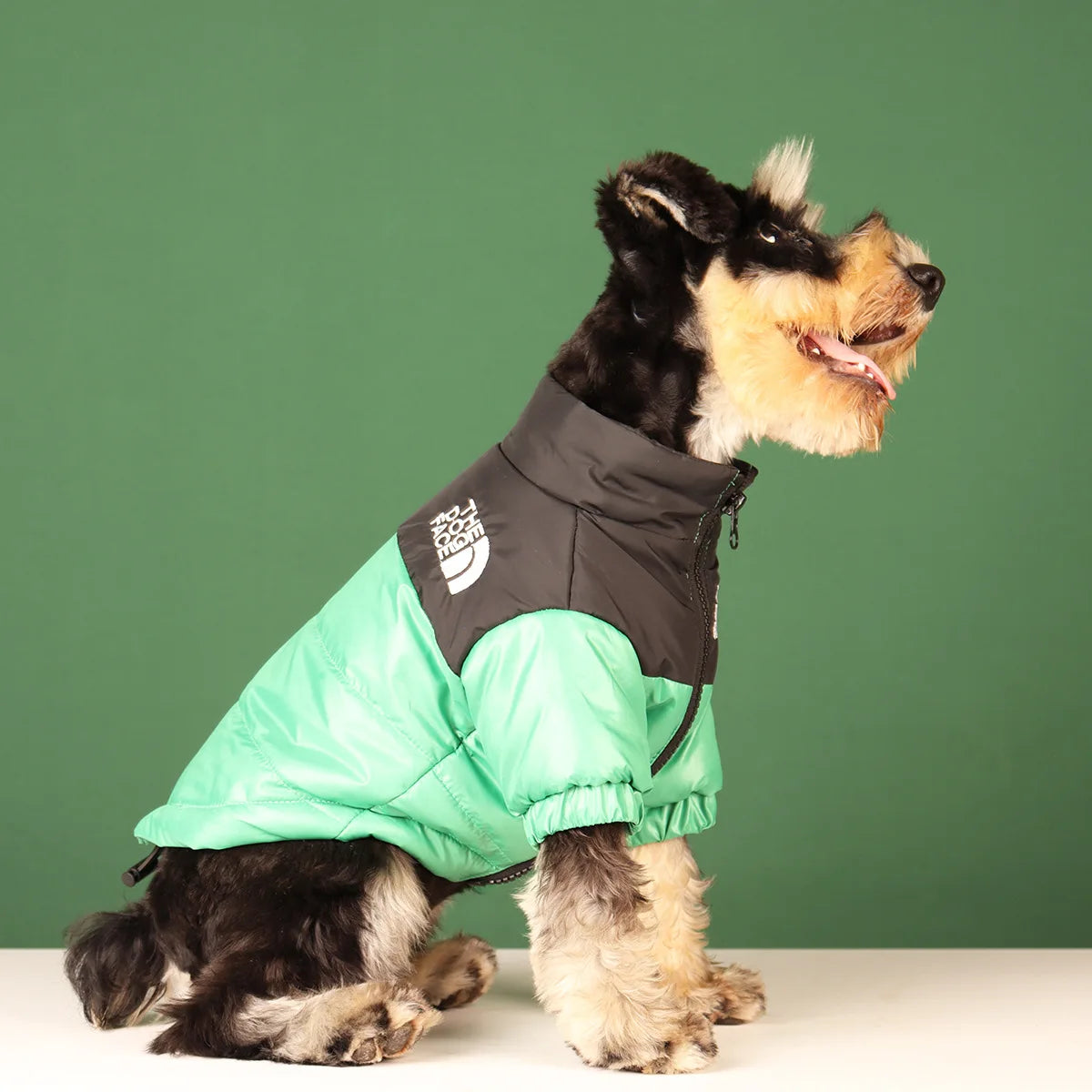 Large Winter Dog Jacket