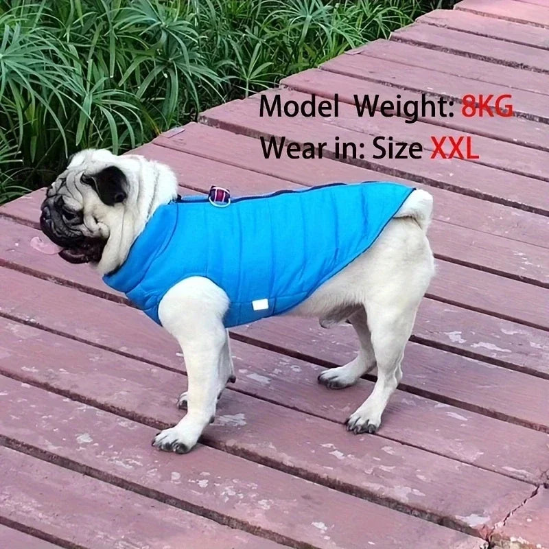Winter Padded Dog & Cat Jacket