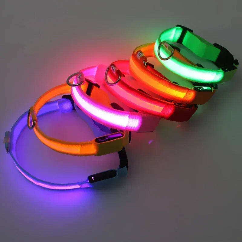 LED Rechargeable Dog Collar