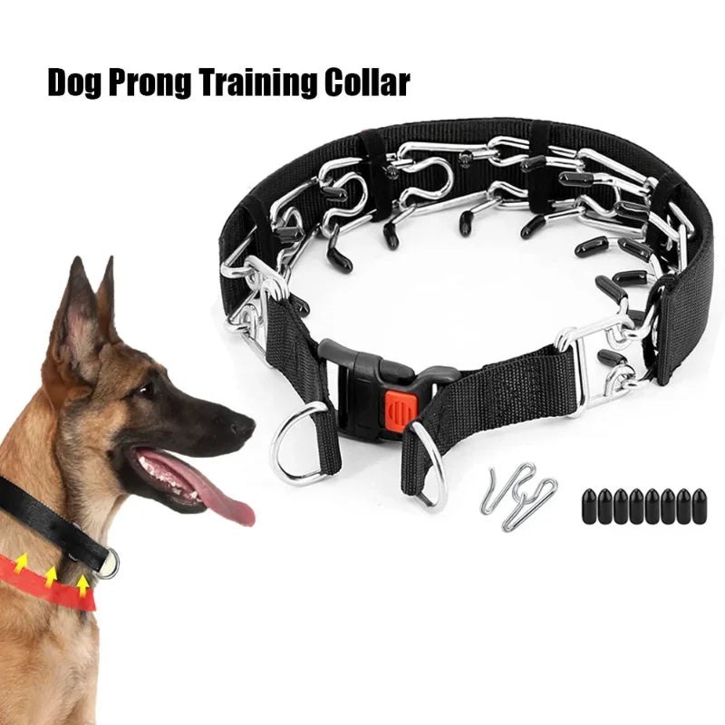 Prong Dog Training Collar