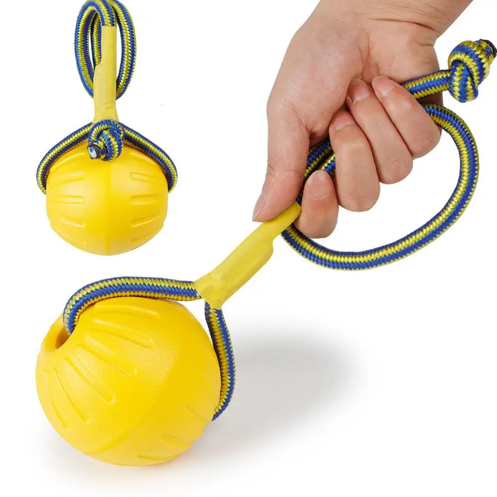 Indestructible Rubber Dog Ball Toy