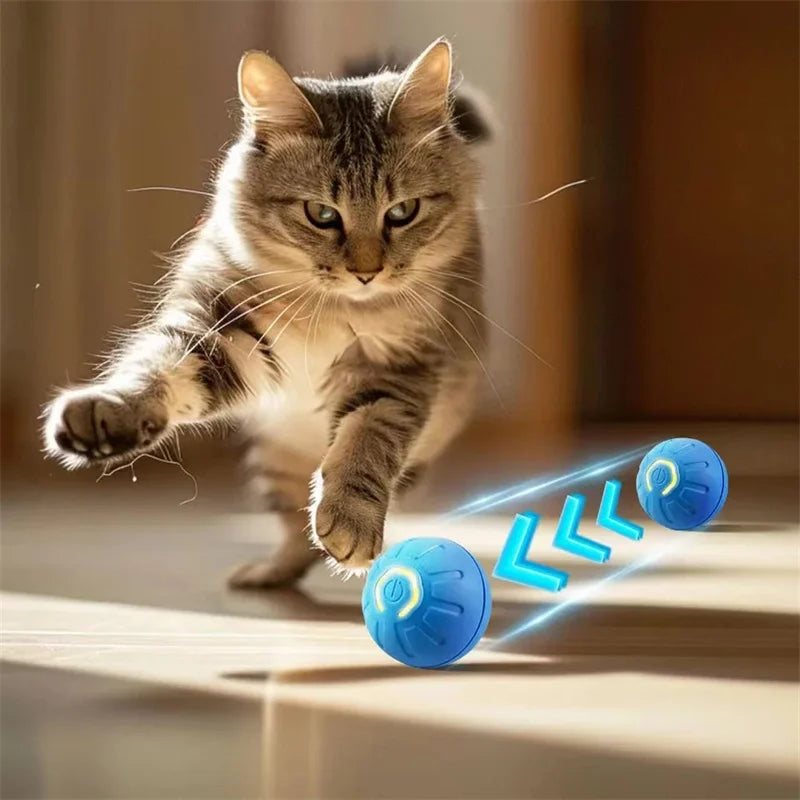 USB Rechargeable Interactive Dog & Cat Ball