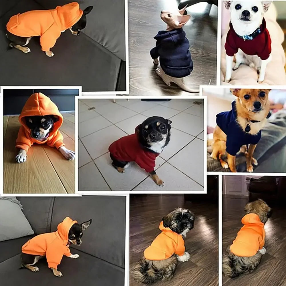 Pet Hoodie Sweatshirt for Dogs & Cats