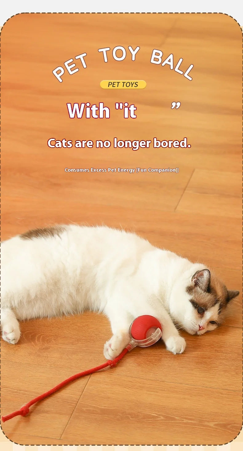 Rechargeable Smart Cat Ball Toy