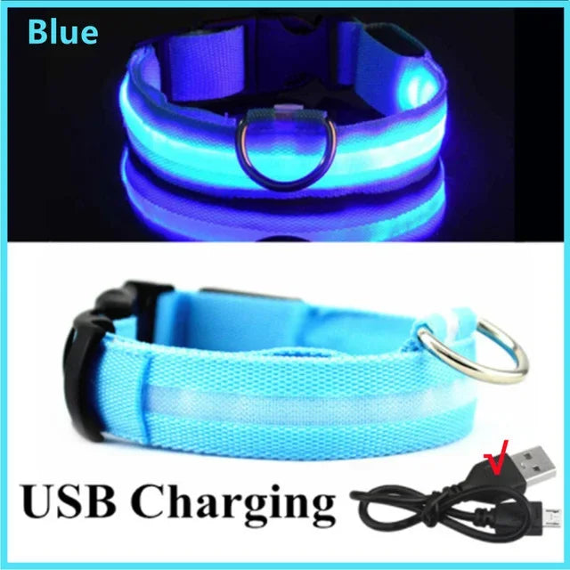 LED Rechargeable Dog Collar