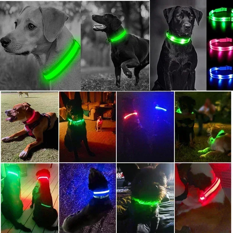 LED Rechargeable Dog Collar