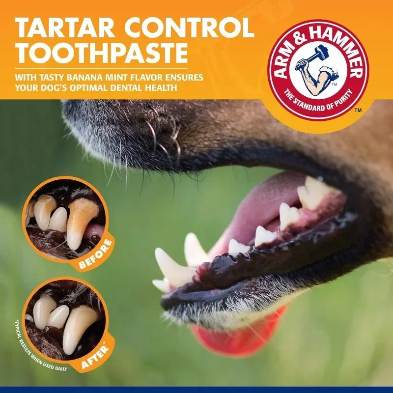 Pet Dental Care Kit