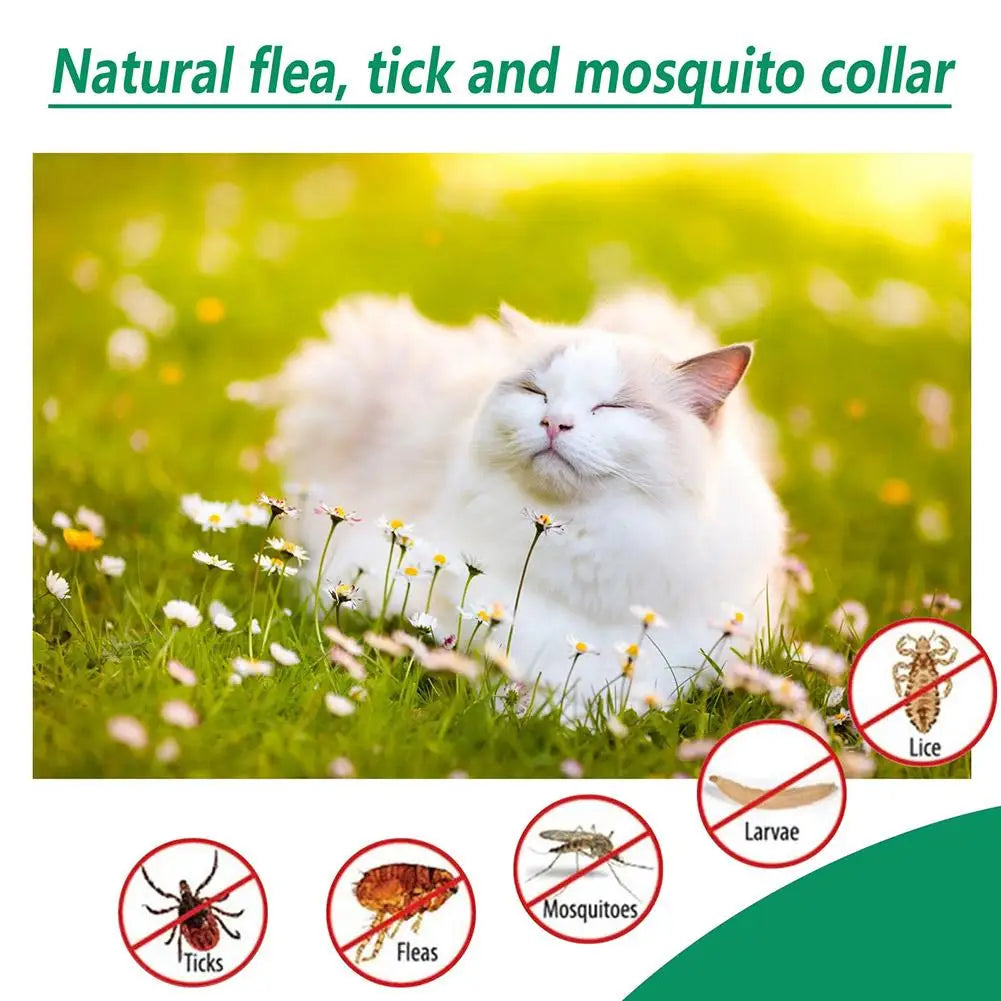 Pet Flea & Tick Killer Drops 60ml