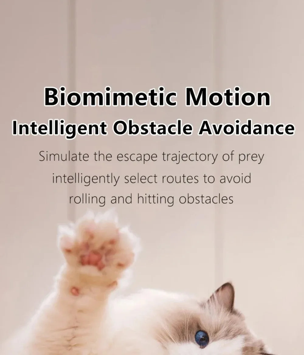 Interactive Smart Cat Ball Toy