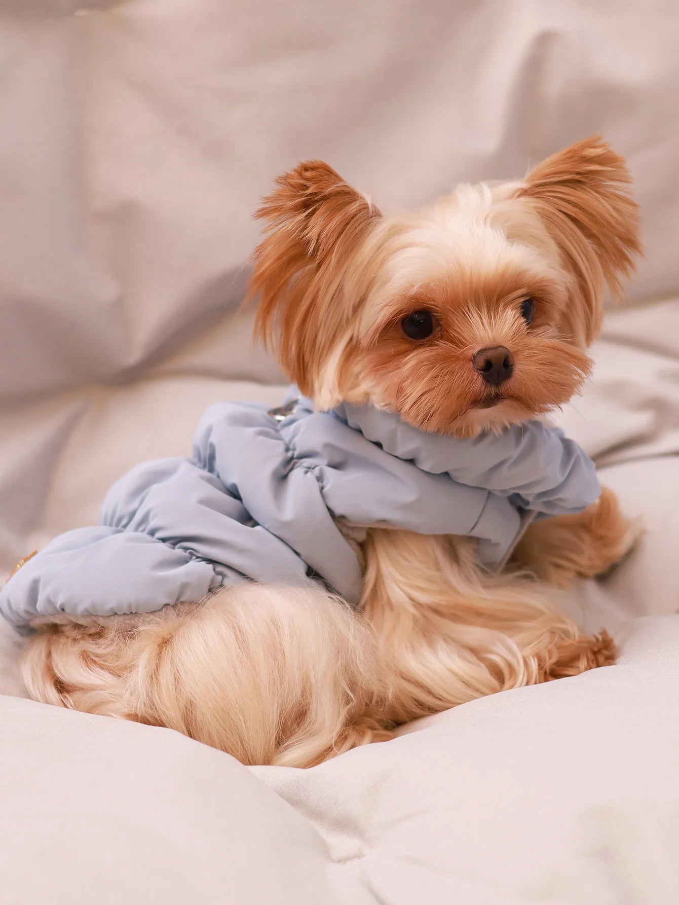 3-Layer Warm Dog Jacket