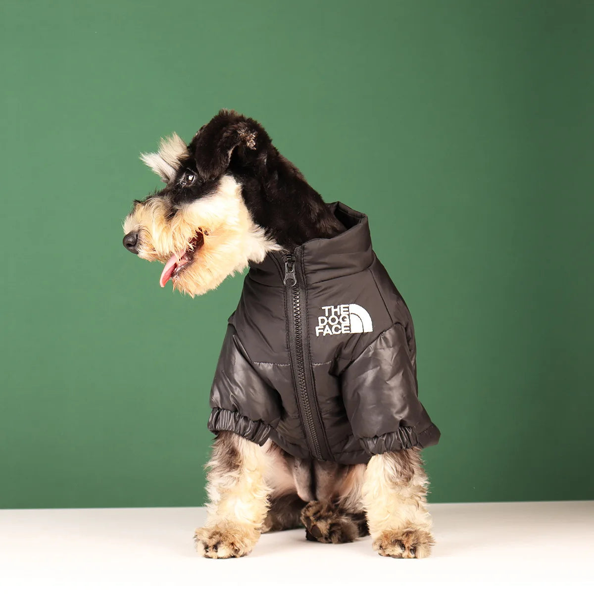 Large Winter Dog Jacket