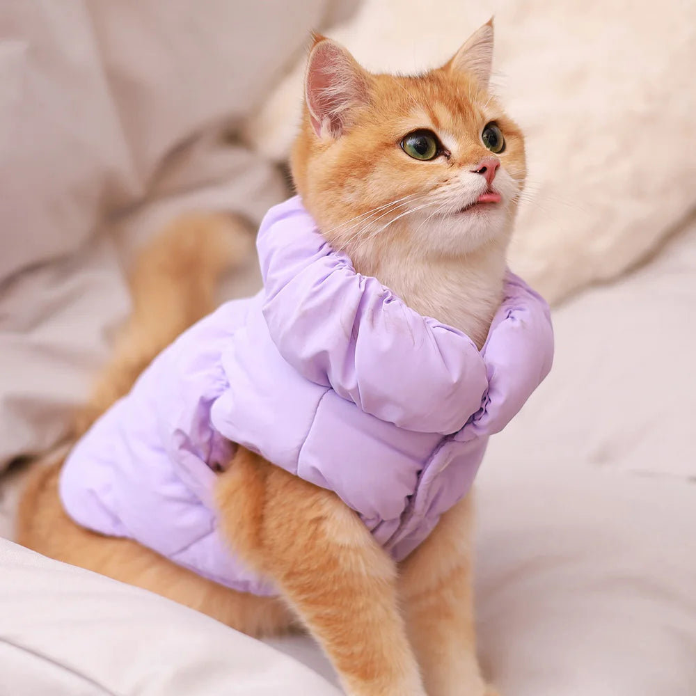 Padded Winter Dog & Cat Jacket