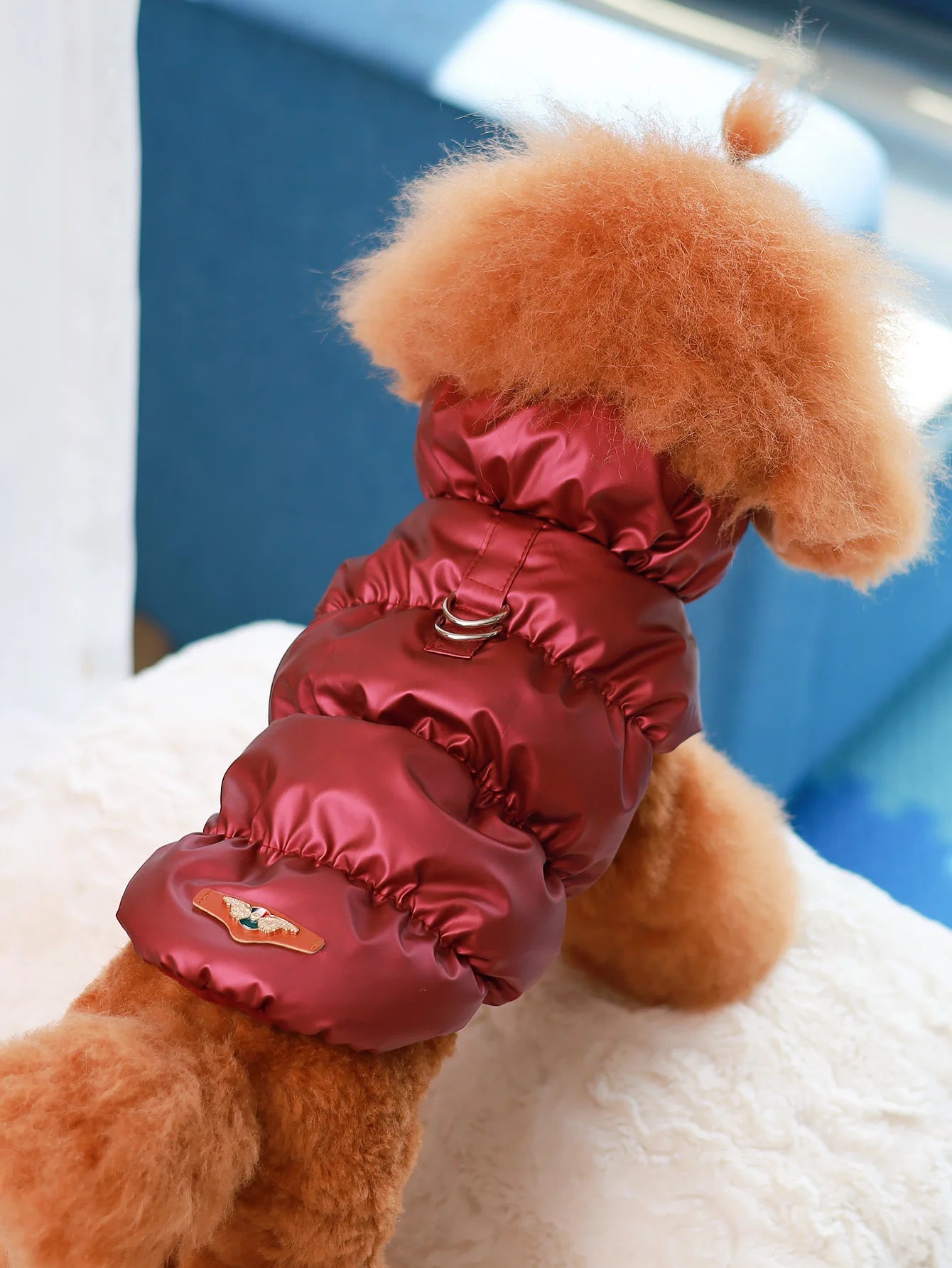 3-Layer Warm Dog Jacket