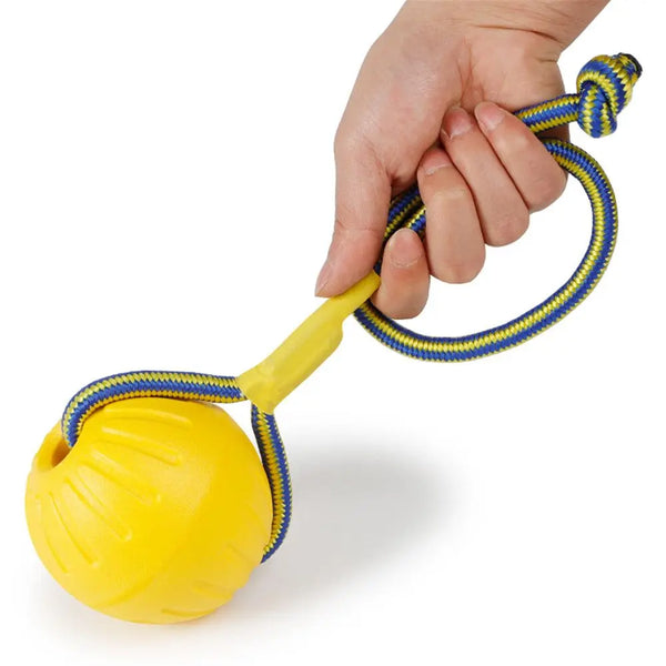 Indestructible Rubber Dog Ball Toy
