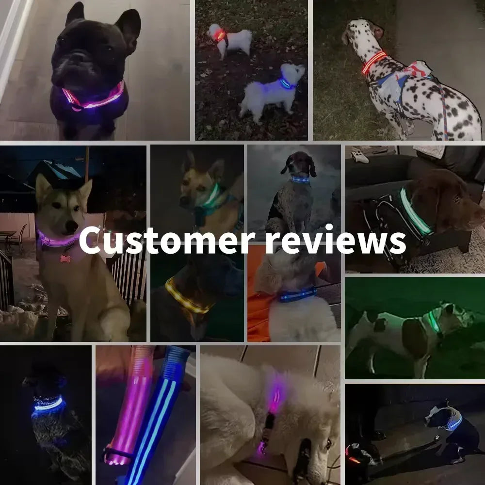 LED Rechargeable Dog Collar