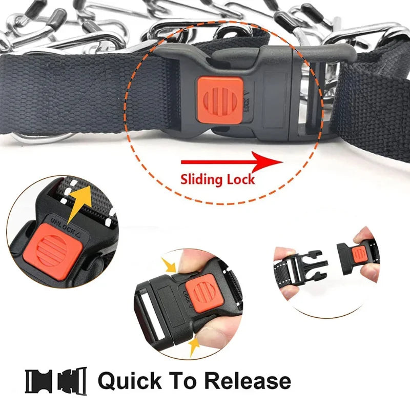 Prong Dog Training Collar