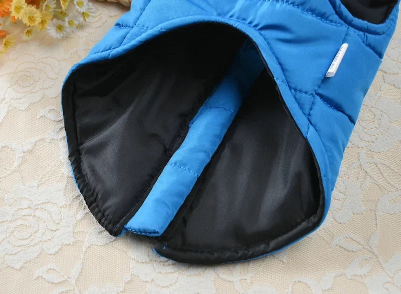 Winter Padded Dog & Cat Jacket