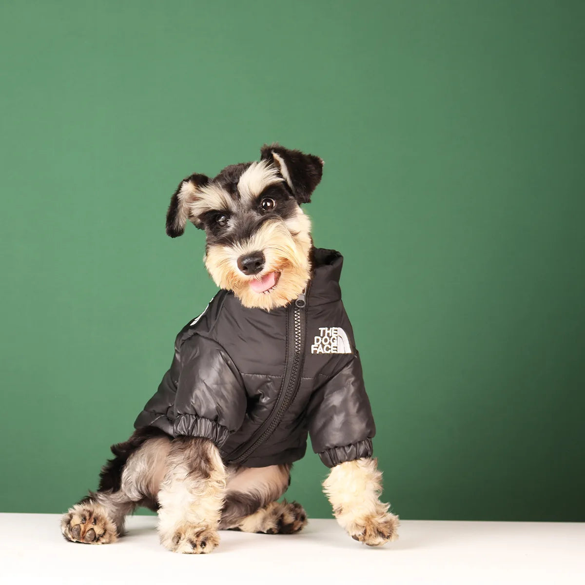 Large Winter Dog Jacket