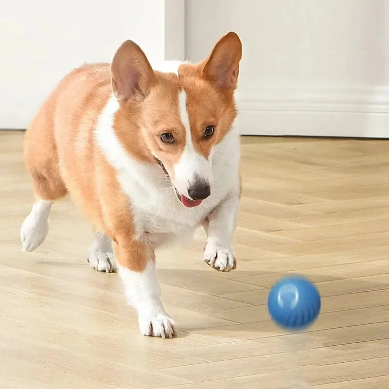 USB Rechargeable Interactive Dog & Cat Ball